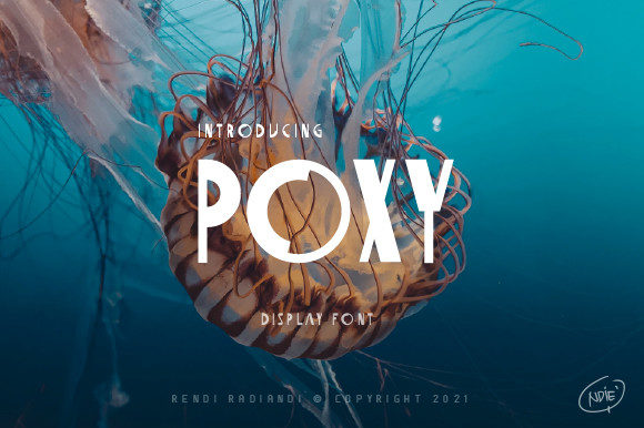 Poxy: Redefining Playful Typography for Modern Brands